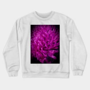 dramatic Allium bloom glowing in rich bright purple colours Crewneck Sweatshirt